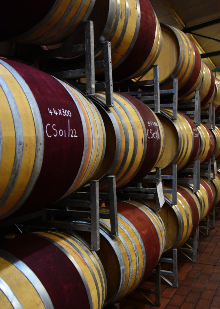 Alles wat je moet weten over Stellenbosch